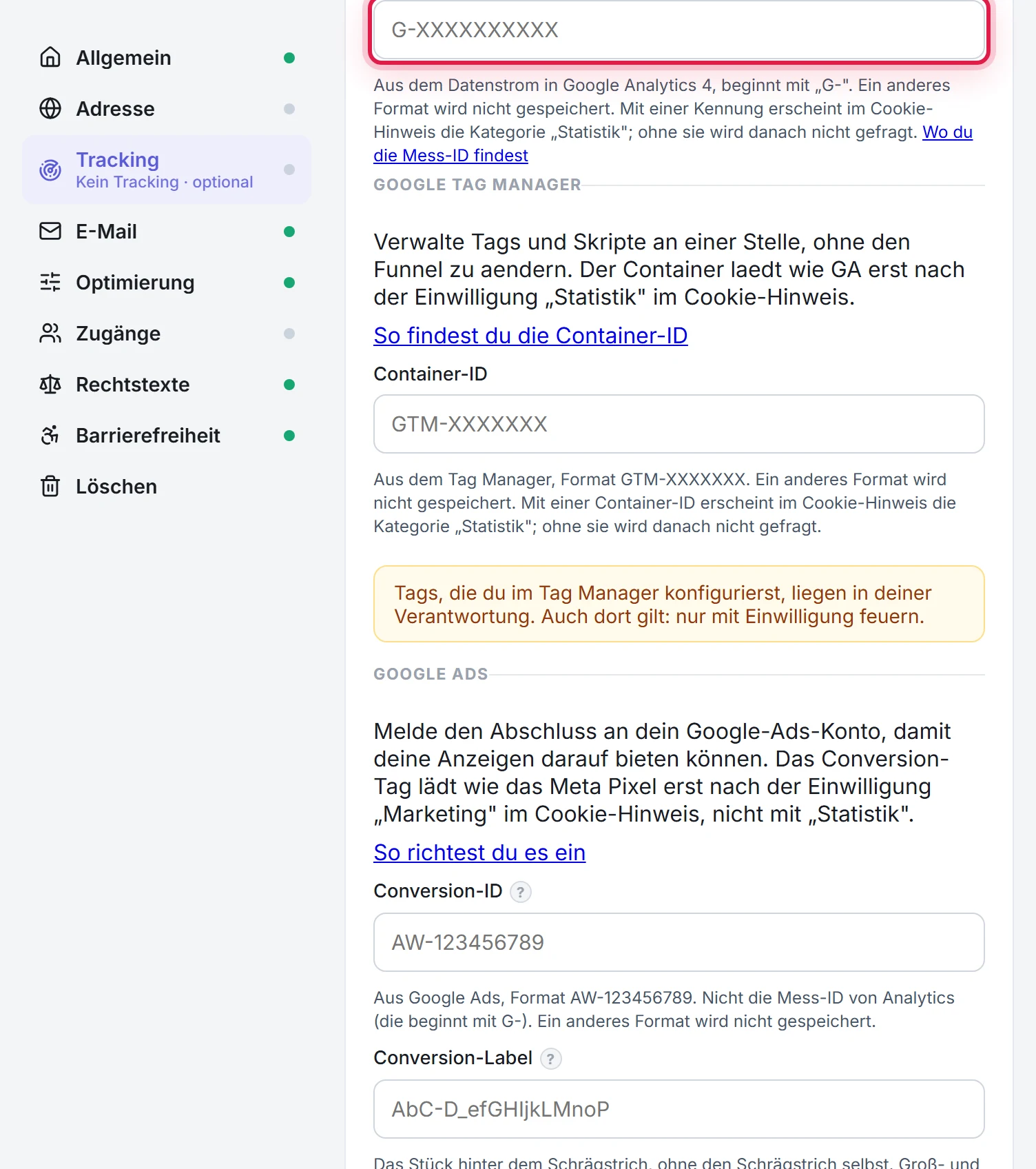 Der Bereich Tracking, Untertab Google, mit dem markierten Feld für die Mess-ID von Google Analytics, darunter der Tag Manager